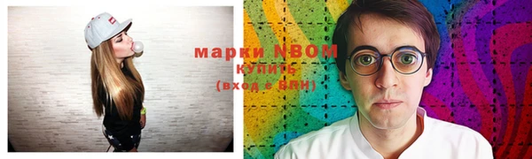 прущие грибы Белоозёрский
