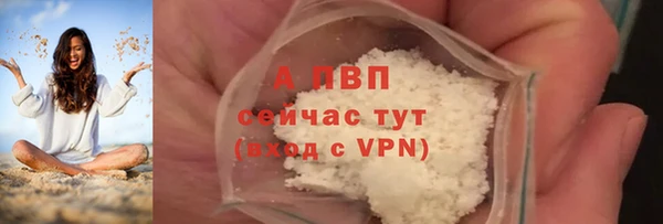 прущие грибы Белоозёрский